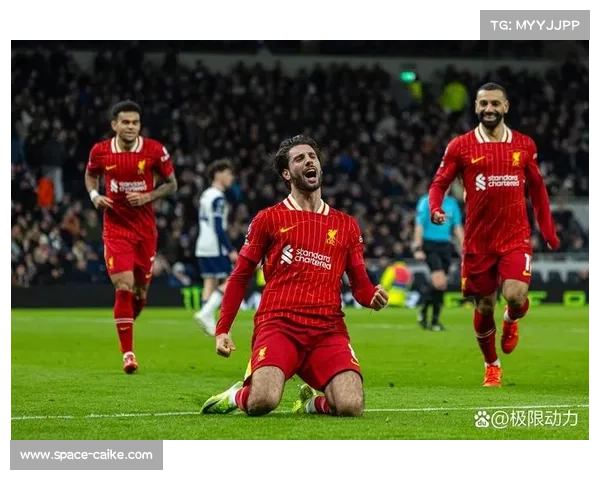 富勒姆中场田中碧伤愈，战利物浦可出场